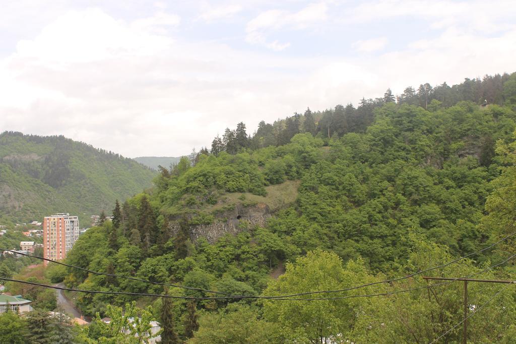 Anastasia Guesthouse Borjomi Exterior photo